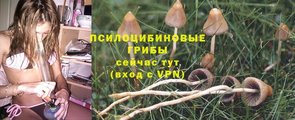 дживик Краснослободск