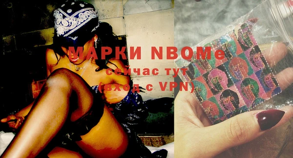 дживик Краснослободск