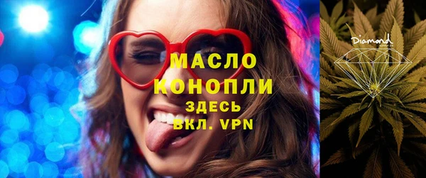 дживик Краснослободск