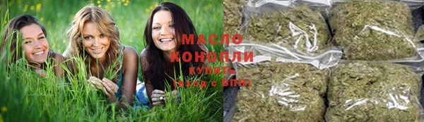 дживик Краснослободск