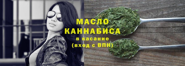 дживик Краснослободск