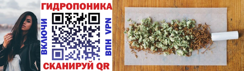 Бошки Шишки THC 21%  где найти наркотики  Курчалой 