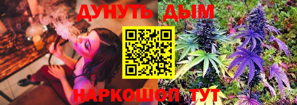Марихуана OG Kush Курчалой